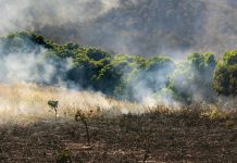 Experto UCSC entrega consejos para que agricultores enfrenten emergencias climáticas