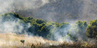 Experto UCSC entrega consejos para que agricultores enfrenten emergencias climáticas