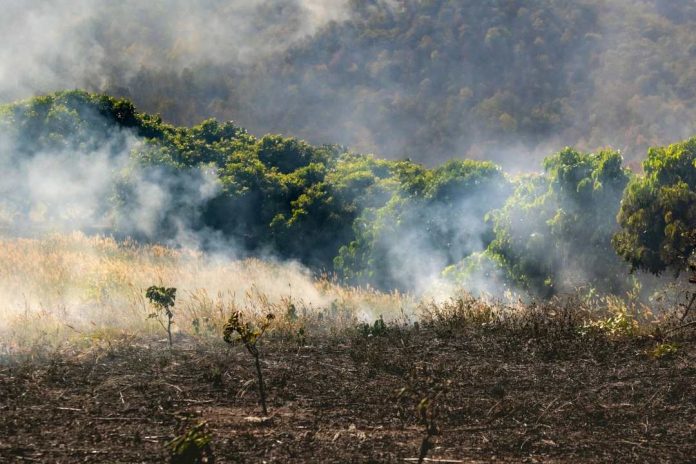 Experto UCSC entrega consejos para que agricultores enfrenten emergencias climáticas