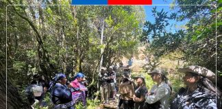 Fondo del Carbono de los Bosques destaca a CONAF