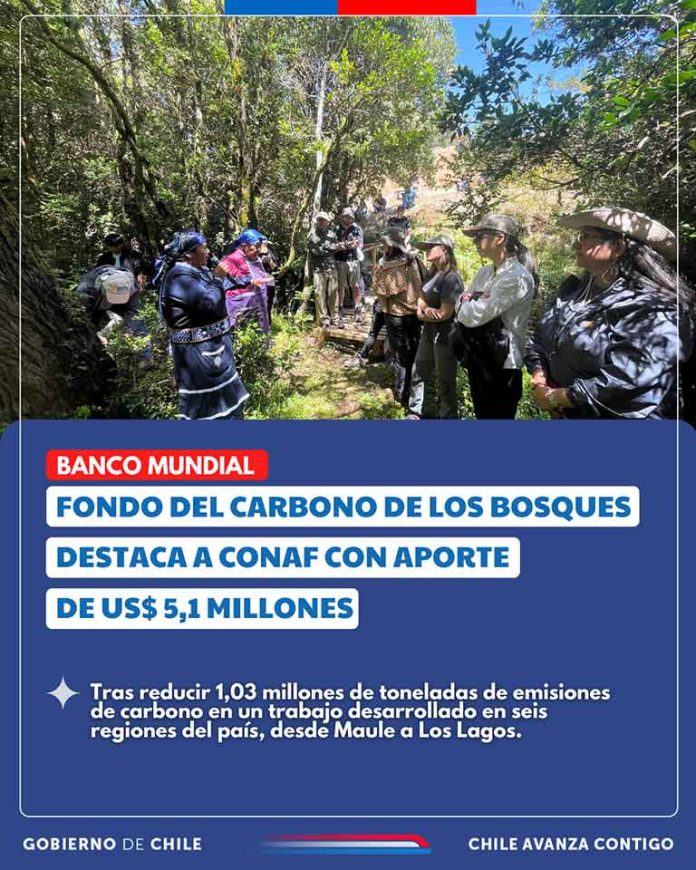 Fondo del Carbono de los Bosques destaca a CONAF