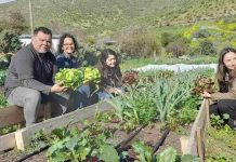 GORE e INIA lideraron soluciones para una agricultura resiliente en el Valle del Aconcagua