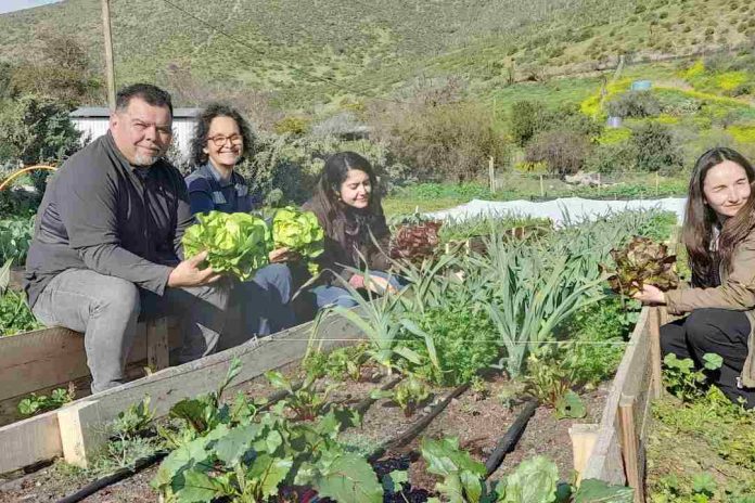 GORE e INIA lideraron soluciones para una agricultura resiliente en el Valle del Aconcagua