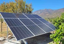 Hasta un 60% en cuentas de luz han ahorrado pequeños agricultores gracias a paneles fotovoltaicos