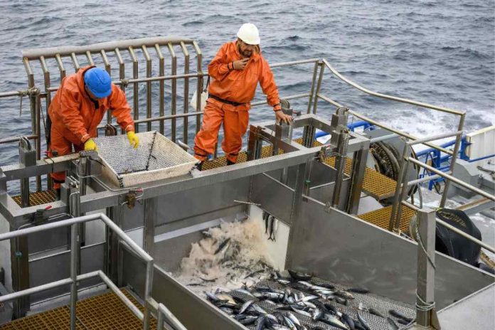 Informe del economista Patricio Arrau concluye que la pesca no es una industria licitable 