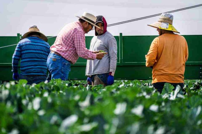 Ley de 40 horas: Se acerca plazo para que empresas con sistemas digitales de control de jornada se actualicen a nuevo estándar de la DT