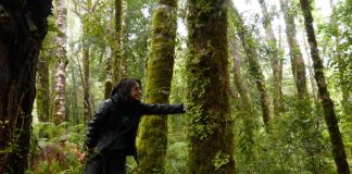 Macrolíquenes como indicadores de salud ambiental y calidad del aire Investigadora UCT estudia la utilidad y efectos del cambio climático en ésta comunidad de organismos