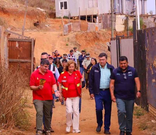 Ministerio de Agricultura y Conaf realizan campaña de limpieza bajo lema “La prevención comienza en tu casa”