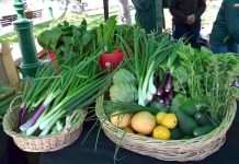 Ministro de Agricultura: “Nuestra tarea es garantizar precios justos y accesibles para las familias chilenas, denunciaremos cualquier anomalía"