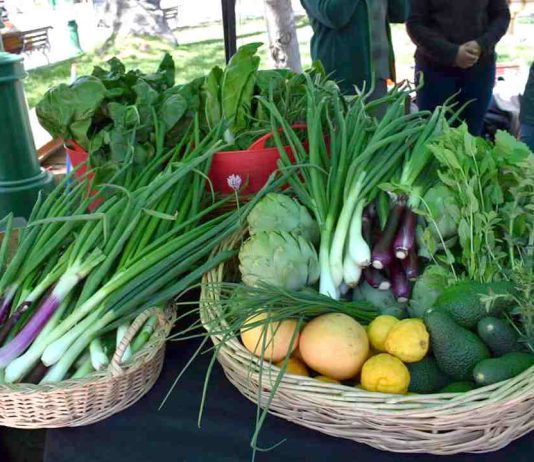 Ministro de Agricultura: “Nuestra tarea es garantizar precios justos y accesibles para las familias chilenas, denunciaremos cualquier anomalía"