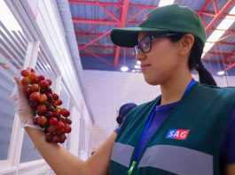 Ministro de Agricultura inaugura nuevo sitio de inspección fitosanitaria de frutas y hortalizas frescas con destino a Estados Unidos 