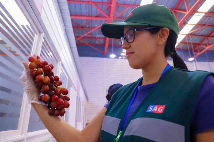 Ministro de Agricultura inaugura nuevo sitio de inspección fitosanitaria de frutas y hortalizas frescas con destino a Estados Unidos 