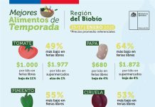 Presentan principales alimentos que bajaron y subieron de precio en la última semana en Biobío