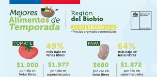 Presentan principales alimentos que bajaron y subieron de precio en la última semana en Biobío