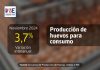 Producción de huevos de consumo presentó un aumento interanual de 3,7% en noviembre de 2024