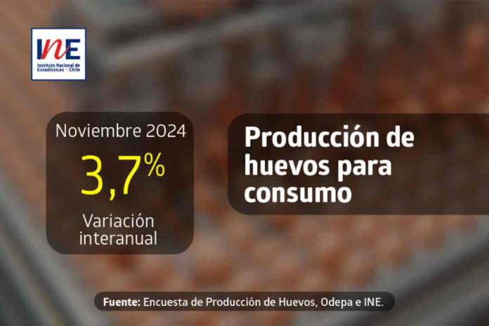 Producción de huevos de consumo presentó un aumento interanual de 3,7% en noviembre de 2024