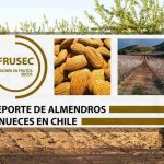 REPORTE DE ALMENDROS Y NUECES EN CHILE Enero 2025