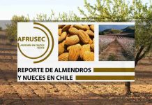 REPORTE DE ALMENDROS Y NUECES EN CHILE Enero 2025