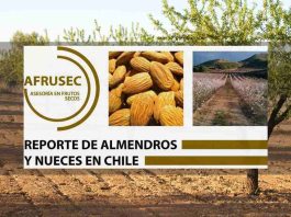 REPORTE DE ALMENDROS Y NUECES EN CHILE Enero 2025