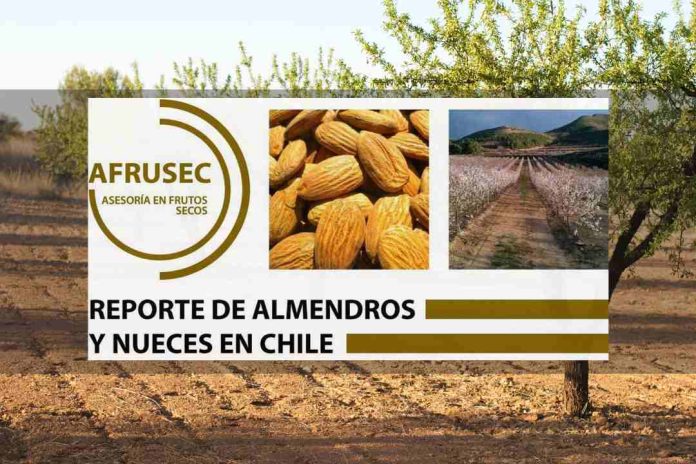 REPORTE DE ALMENDROS Y NUECES EN CHILE Enero 2025