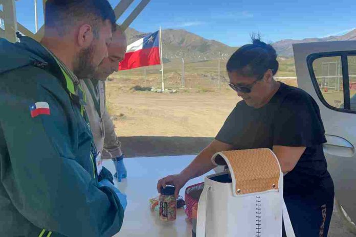 SAG Biobío reitera llamado a turistas a no ingresar productos de origen animal y vegetal de riesgo para el sector silvoagropecuario