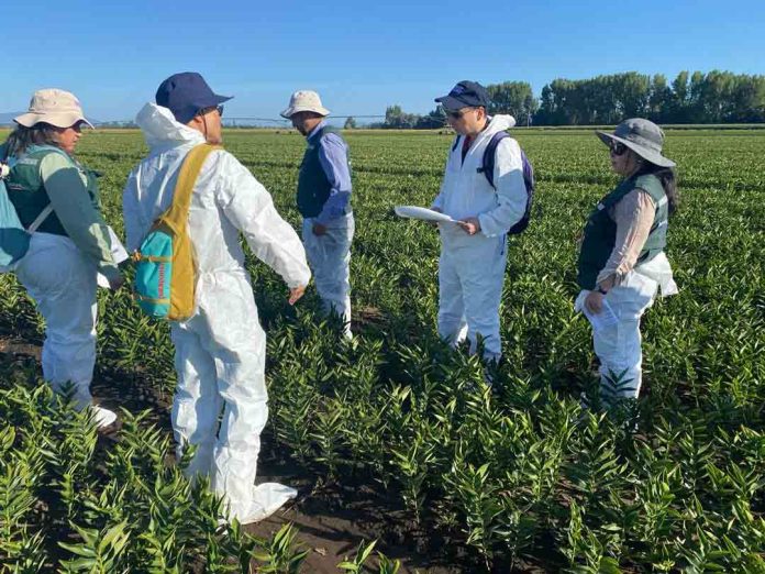 SAG inspecciona bulbos