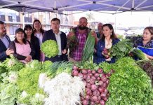 Realizarán ferias campesinas para apoyar a pequeños agricultores del Biobío