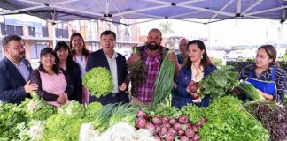 Realizarán ferias campesinas para apoyar a pequeños agricultores del Biobío