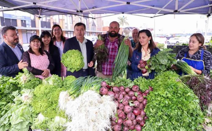 Realizarán ferias campesinas para apoyar a pequeños agricultores del Biobío