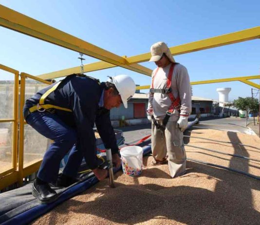 Ministro Valenzuela constata en terreno funcionamiento del reglamento especial del trigo en el marco de la Ley de Muestra y Contramuestra