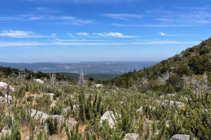 $690 millones entregó el Ministerio del Medio Ambiente a proyectos de conservación