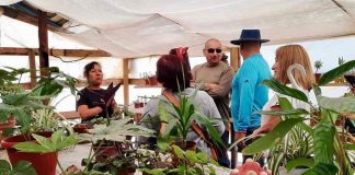 Agricultores del Prodesal INDAP Quilaco se lucen con circuitos turísticos
