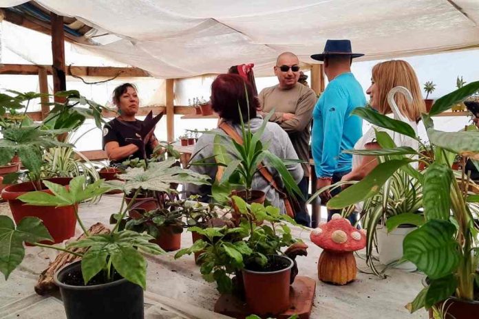 Agricultores del Prodesal INDAP Quilaco se lucen con circuitos turísticos