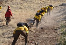 Bomberos, Carabineros y CONAF, los mejores evaluados por labor en los incendios forestales