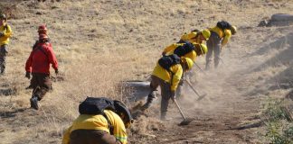 Bomberos, Carabineros y CONAF, los mejores evaluados por labor en los incendios forestales