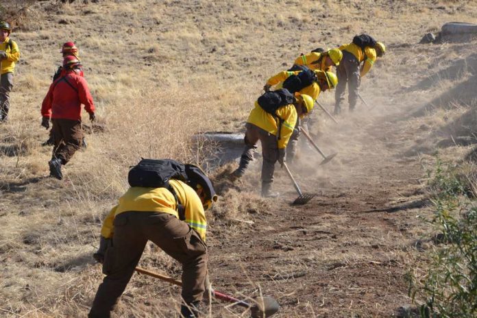 Bomberos, Carabineros y CONAF, los mejores evaluados por labor en los incendios forestales