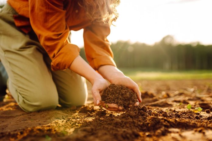 Mujer Agro y Eficiencia Hídrica: Comité Hídrico de Valparaíso anuncia eventos gratuitos enfocados en la sostenibilidad y en la agricultura