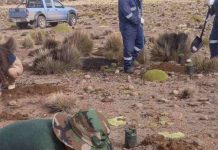 CONAF Y CONADI implementaron obras para el riego ancestral de bofedales en General Lagos