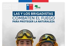 CONAF llama a postular como brigadista forestal en Arica y Parinacota