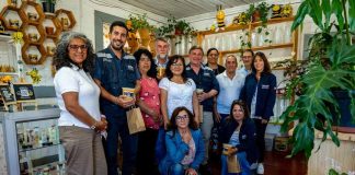 Director nacional de INDAP visitó mercado agroecológico de Pitrufquén y cooperativa apícola de Gorbea