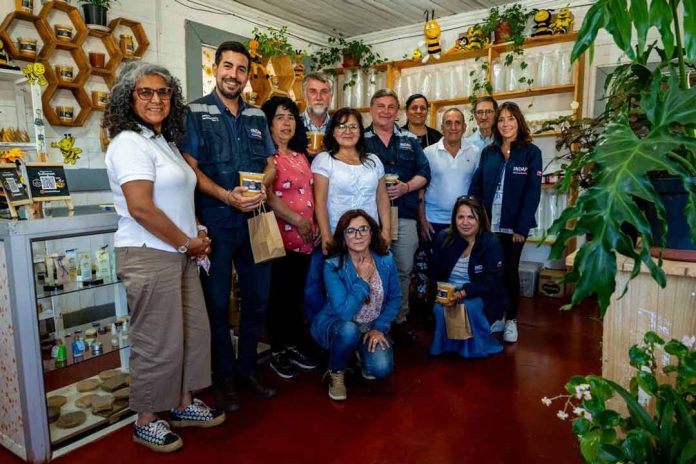 Director nacional de INDAP visitó mercado agroecológico de Pitrufquén y cooperativa apícola de Gorbea