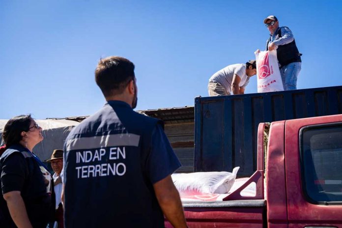 En Purén comenzó la entrega de ayuda a agricultores de La Araucanía afectados por incendios