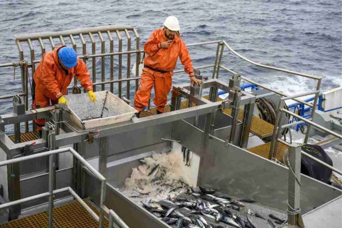 Experto advierte los riesgos del fraccionamiento pesquero en la disponibilidad de pescado para consumo humano