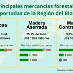 Exportaciones forestales de la Región del Biobío aumentaron 5,6% en el trimestre octubre-diciembre de 2024