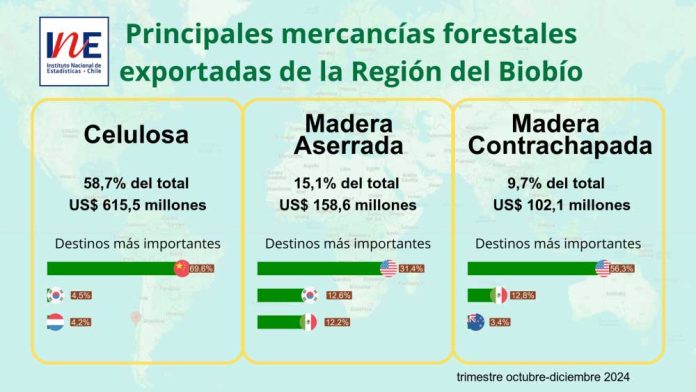 Exportaciones forestales de la Región del Biobío aumentaron 5,6% en el trimestre octubre-diciembre de 2024