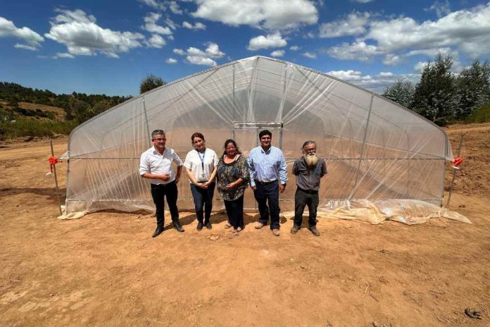 Gobierno entregó invernaderos a pequeñas agricultoras afectadas por incendios en Biobío