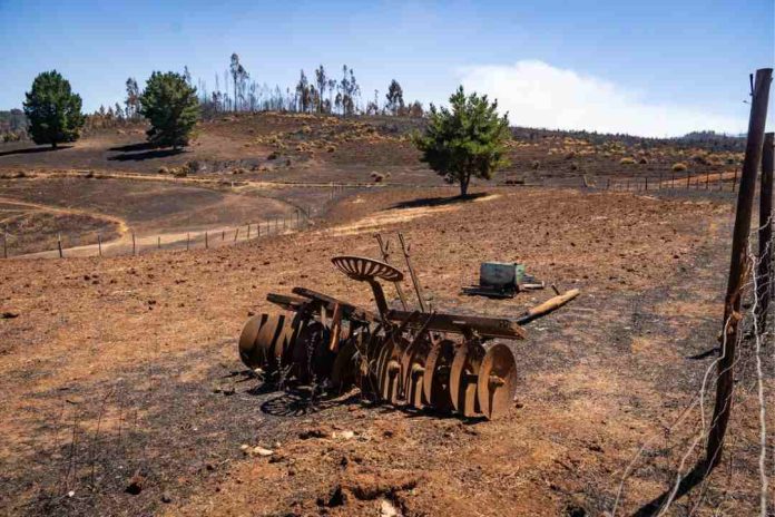 INDAP inicia entrega de ayuda a familias campesinas de La Araucanía afectadas por incendios forestales