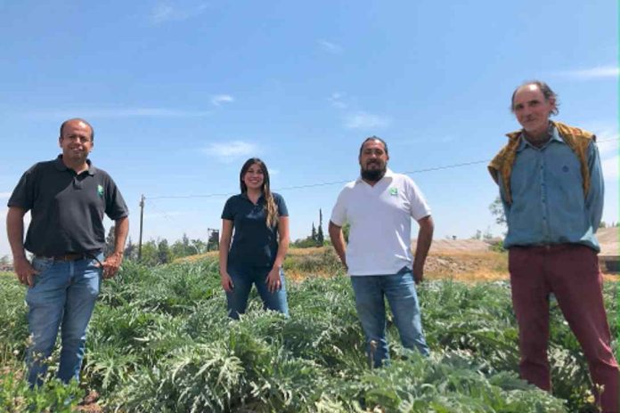 INIA La Platina anuncia la formación de siete nuevos Grupos de Extensión Tecnológica para fortalecer la agricultura en zonas rurales de la Región Metropolitana