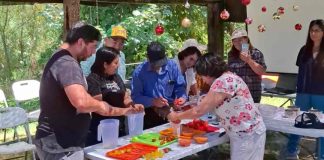 INIA dicta talleres de selección, procesamiento y conservación de semillas de maíz y tomate en la Región de Los Ríos