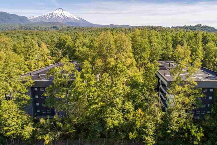 Iniciativas verdes en el mercado inmobiliario: Empresa ha plantado casi 10 mil árboles para compensar el impacto ambiental sus proyectos